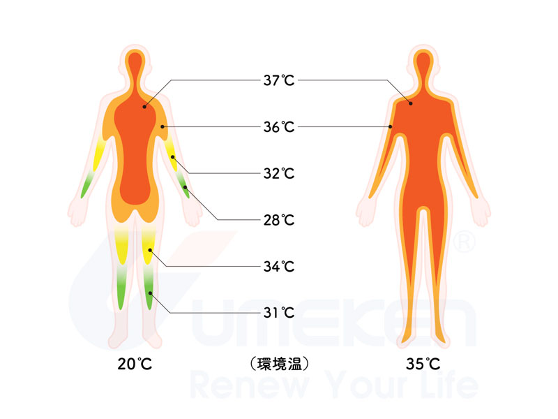 Nhiệt độ cơ thể cao hơn ở trung tâm của cơ thể